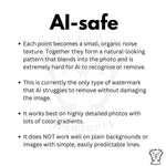 Explanation graphic showing how the point cloud watermark creates organic noise that is difficult for AI tools to detect or remove.